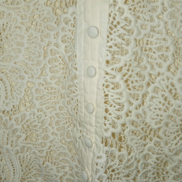 Soft Surroundings Lasalle Lace Floral Long Sleeve Sheer Ruffle Neck Cami Blouse - Picture 5 of 12